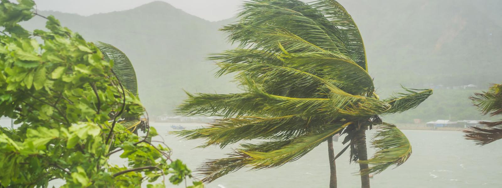 Caribbean strong winds