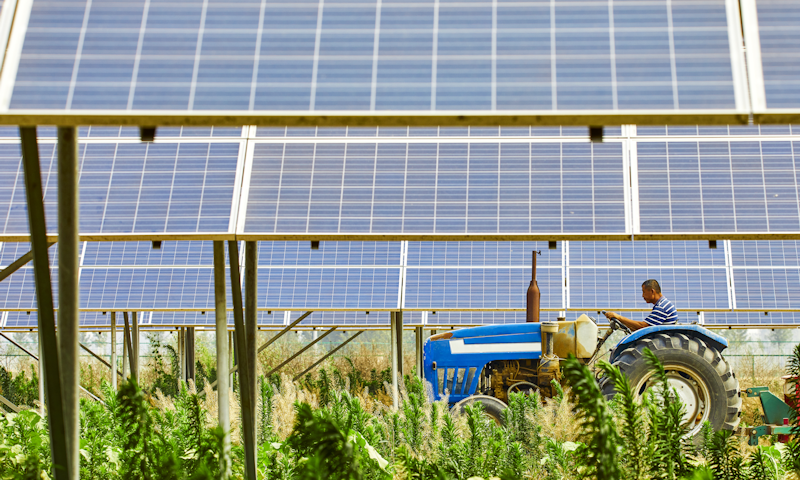 solar panels and farming