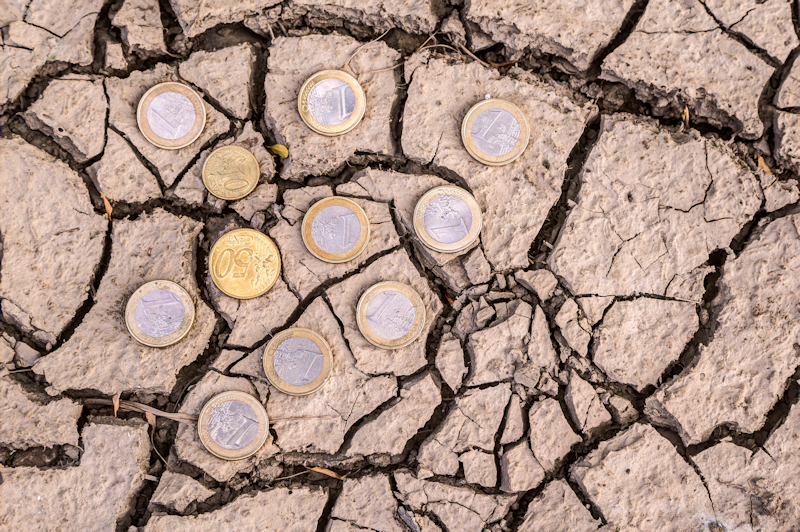 Coins scattered on the dry earth